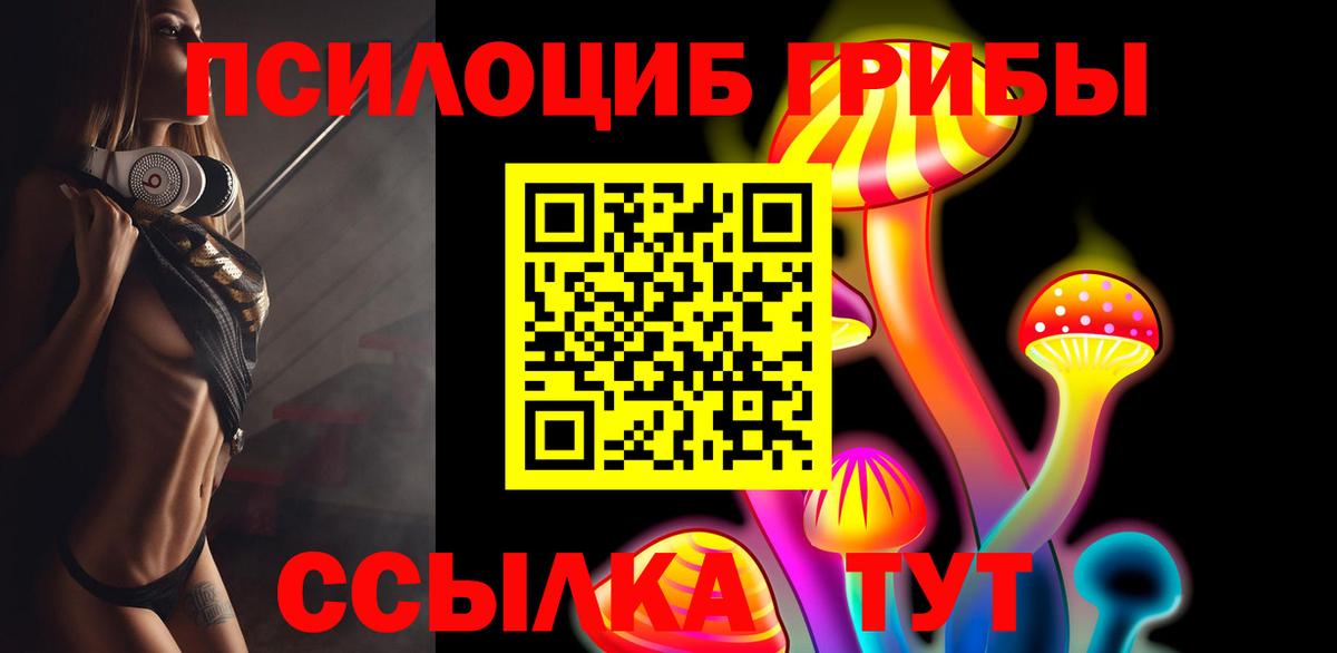 Псилоцибиновые грибы прущие грибы  Вход с VPN  Подольск 
